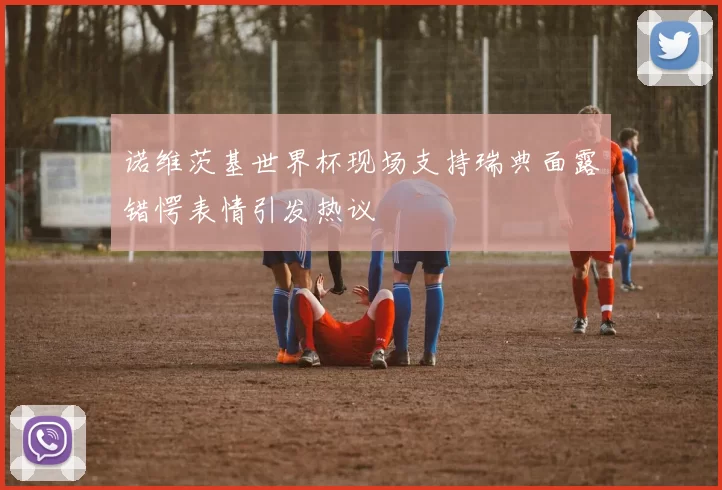 诺维茨基世界杯现场支持瑞典面露错愕表情引发热议